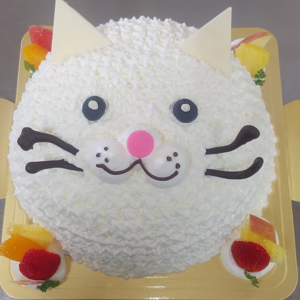 白猫のケーキ